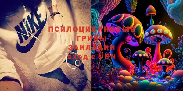 тгк Аркадак