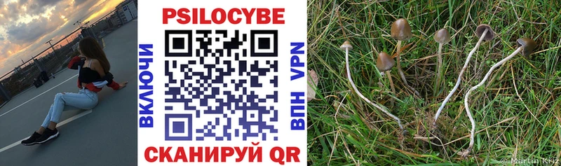Галлюциногенные грибы Psilocybe  как найти закладки  Свирск 